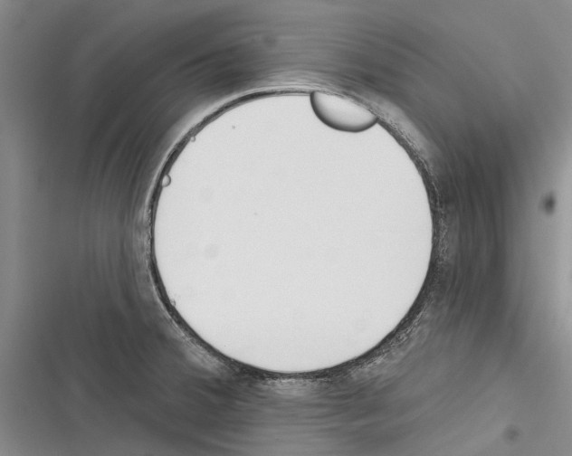 X0000116381380201001131759
