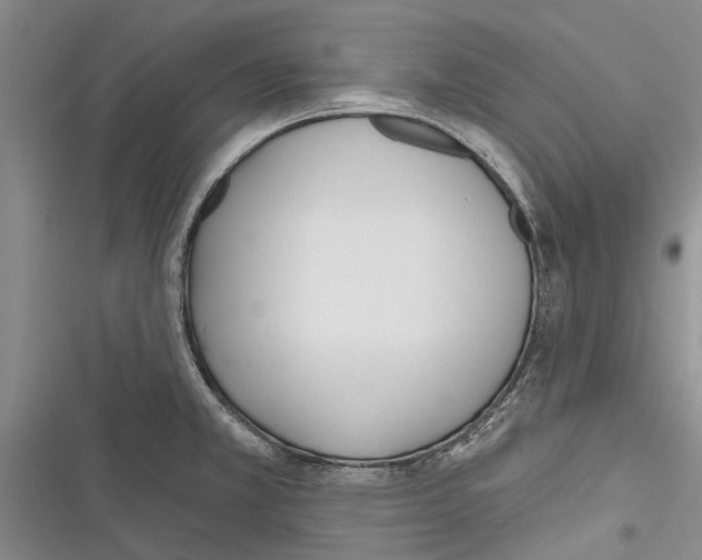 X0000116381381201001131759
