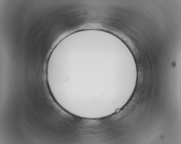 X0000116381382201001131759