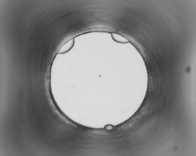 X0000116381383201001131759
