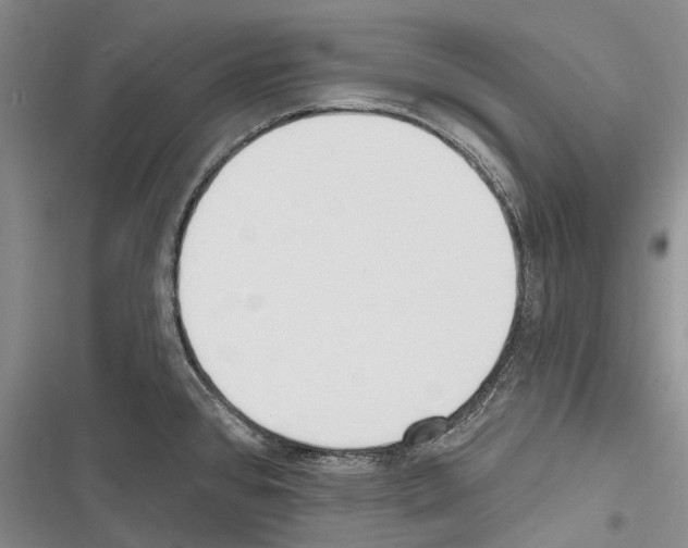 X0000116381384201001131759