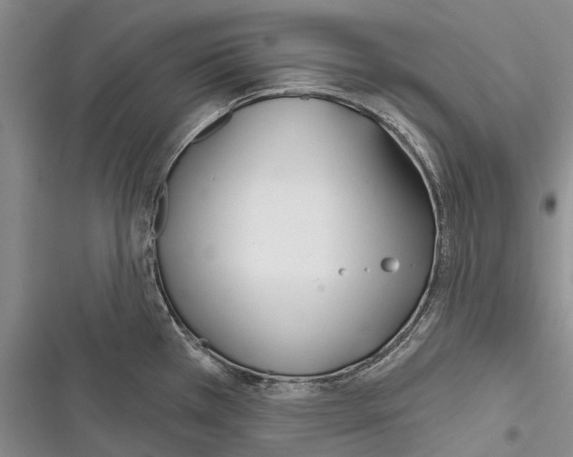 X0000116381385201001131759