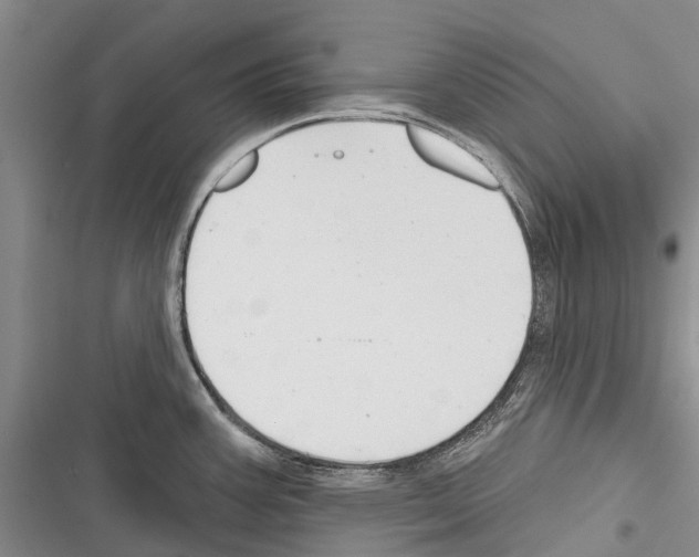 X0000116381387201001131759