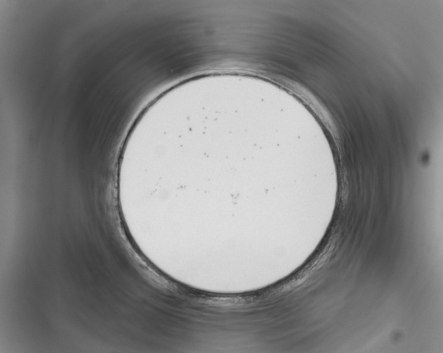X0000116381388201001131759