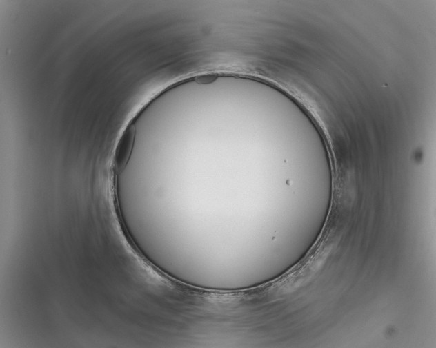X0000116381389201001131759