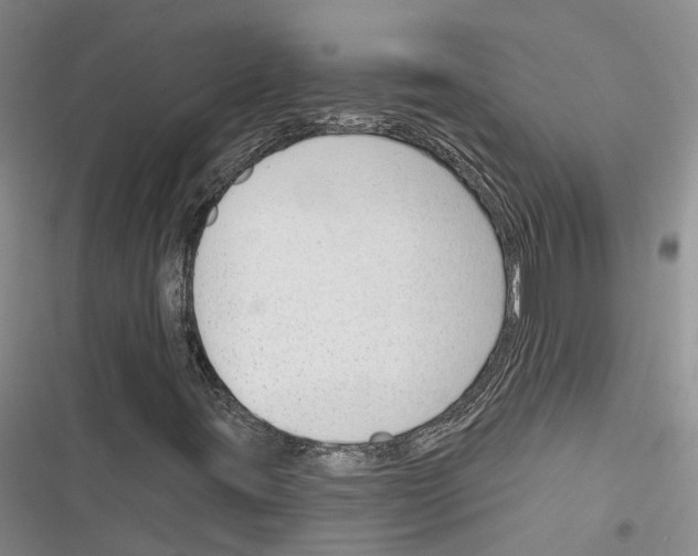 X0000116381395201001131758