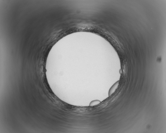 X0000116381396201001131758