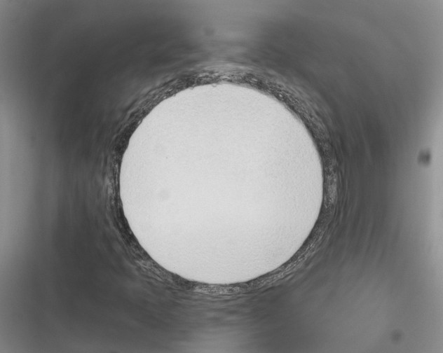 X0000116381397201001131759