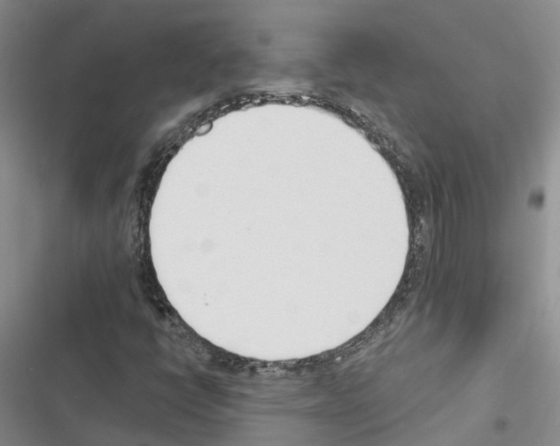 X0000116381398201001131759