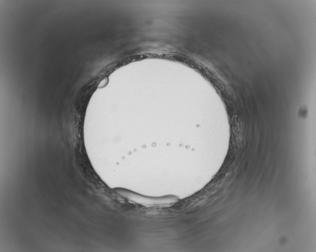 X0000116381399201001131759