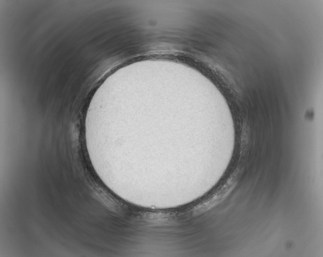 X0000116381401201001131759