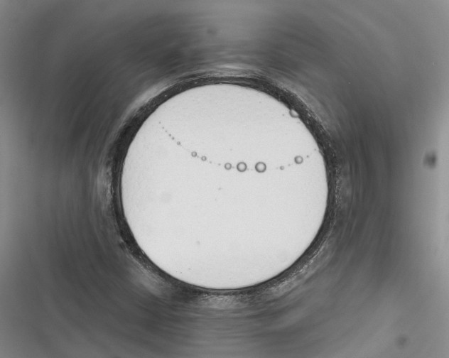 X0000116381402201001131759
