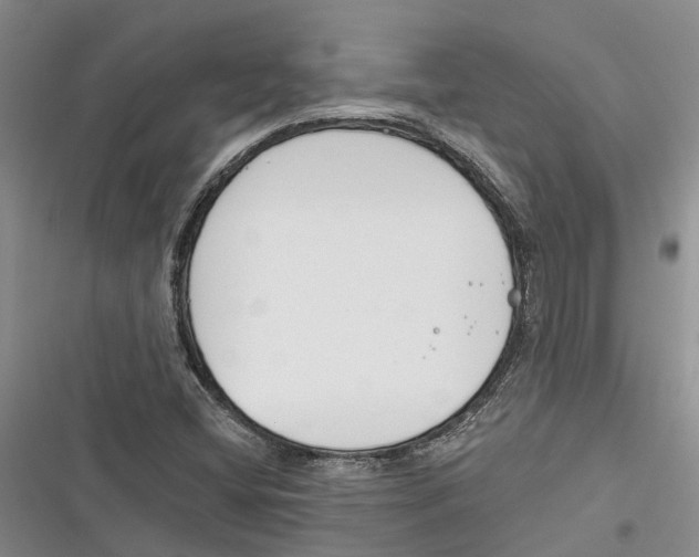X0000116381404201001131759