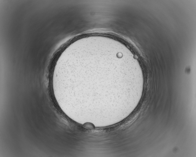 X0000116381406201001131759