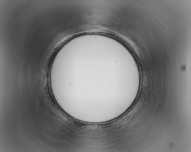 X0000116381407201001131759