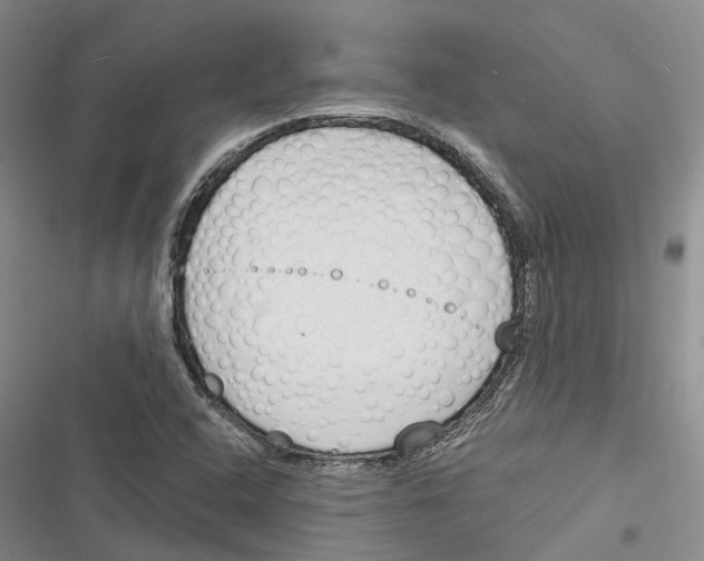 X0000116381408201001131759