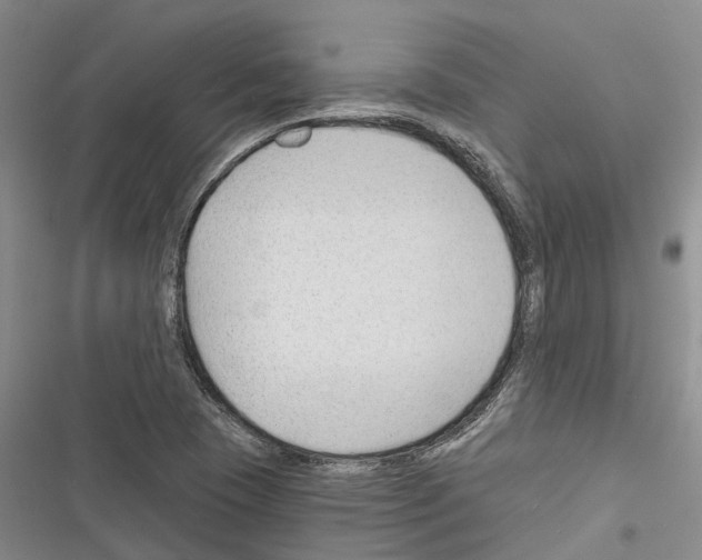 X0000116381409201001131759