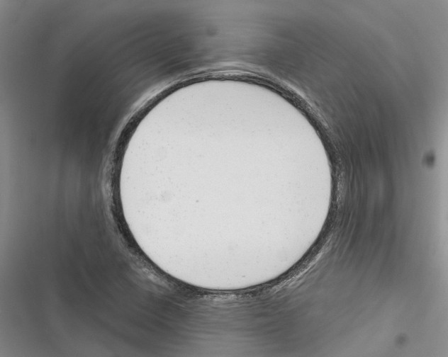 X0000116381410201001131759