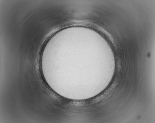 X0000116381411201001131759