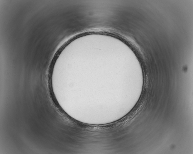 X0000116381412201001131759