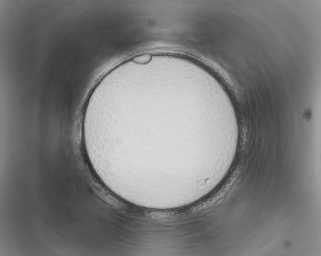 X0000116381413201001131759