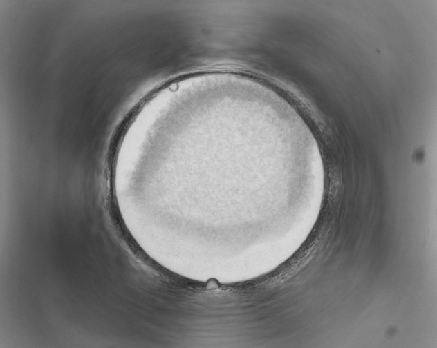 X0000116381414201001131759