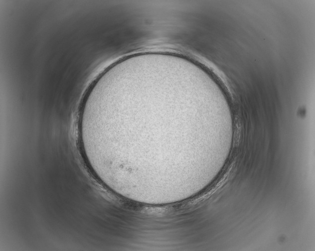 X0000116381415201001131759