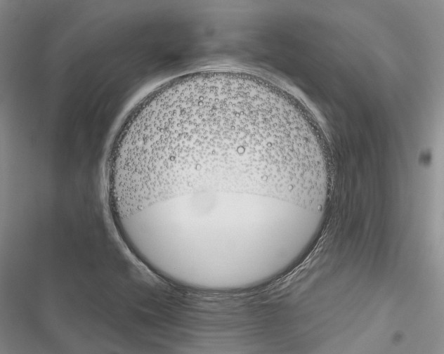 X0000116381416201001131759