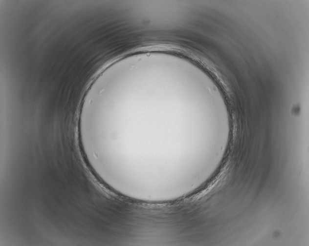 X0000116381417201001131759