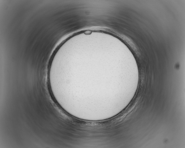 X0000116381420201001131759
