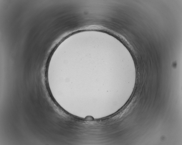X0000116381422201001131759