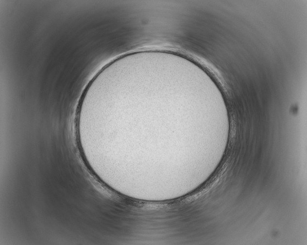 X0000116381423201001131759