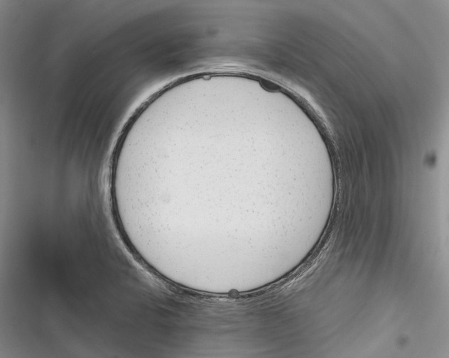 X0000116381424201001131759