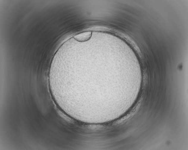 X0000116381425201001131759