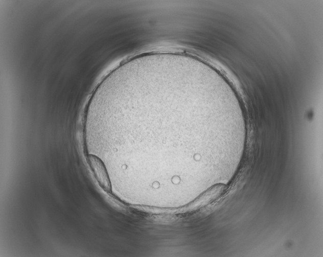 X0000116381429201001131759