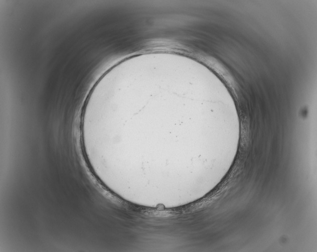 X0000116381431201001131759