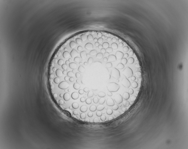 X0000116381432201001131759