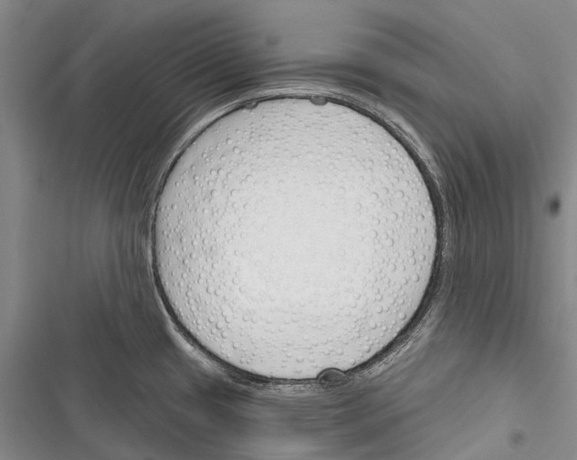 X0000116381433201001131759