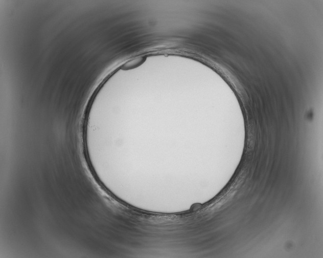 X0000116381434201001131759