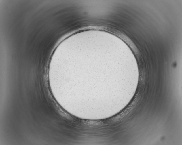 X0000116381436201001131759