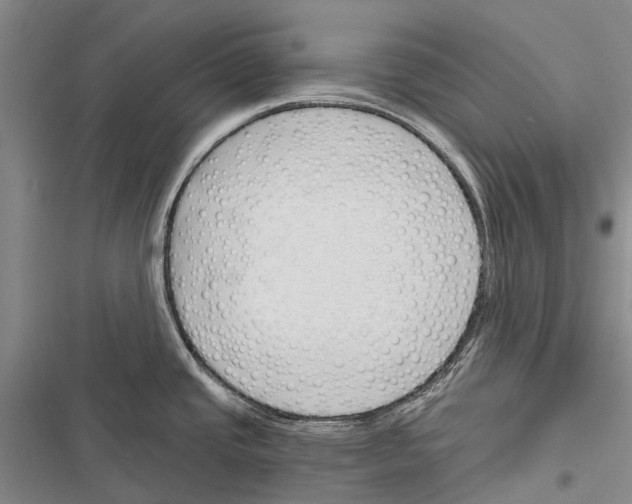 X0000116381437201001131759