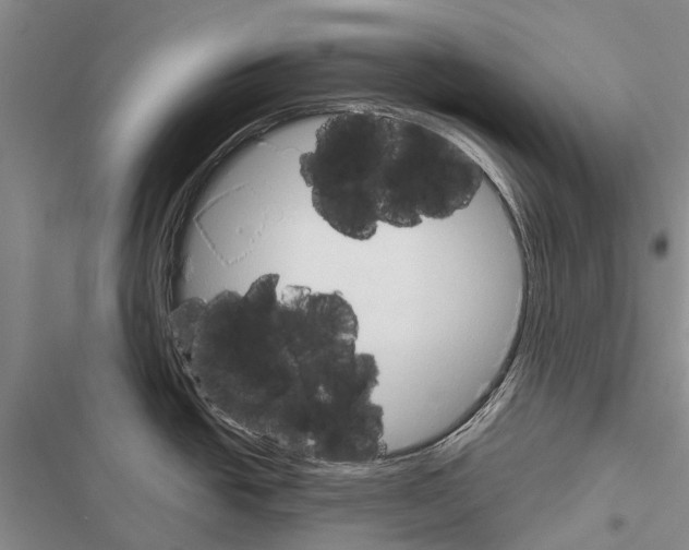 X0000116381438201001131759