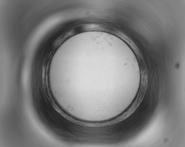 X0000116381439201001131759