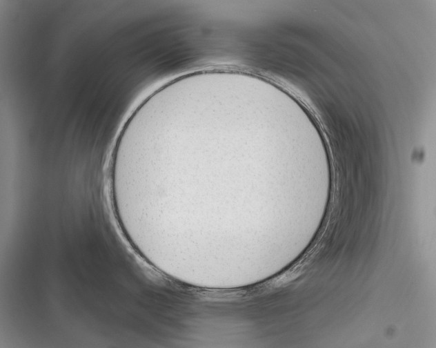 X0000116381440201001131759