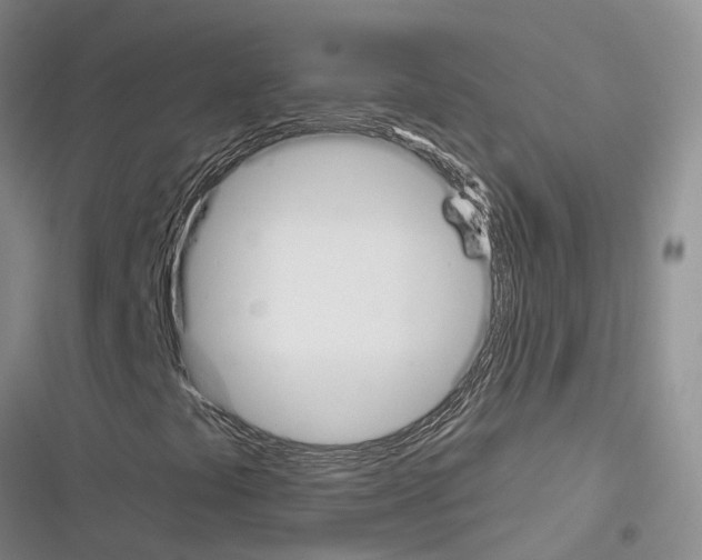 X0000116381441201001131758