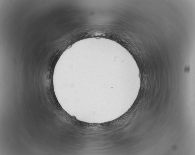 X0000116381442201001131758