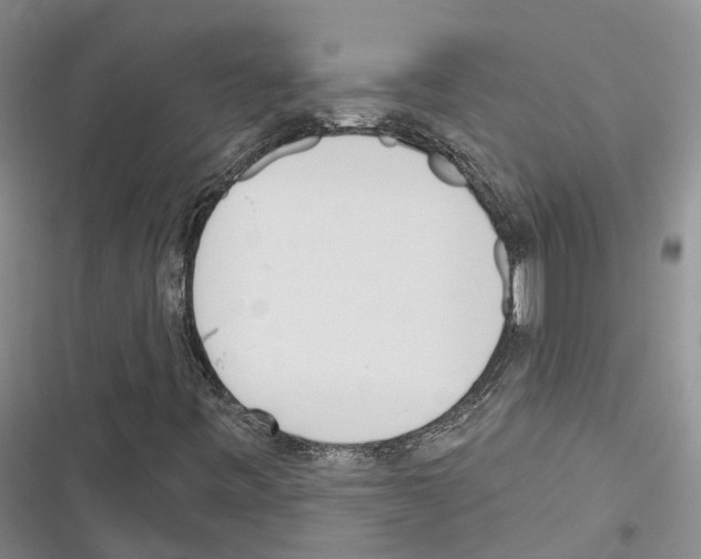 X0000116381443201001131758