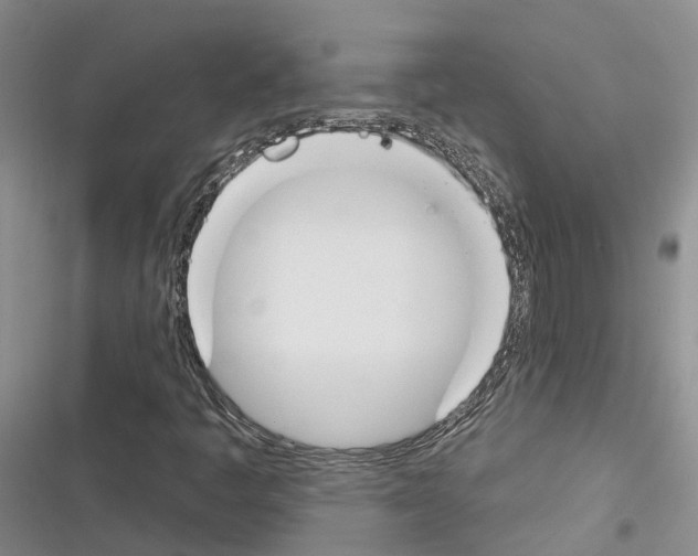 X0000116381445201001131758