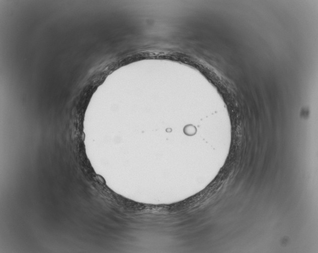 X0000116381447201001131758