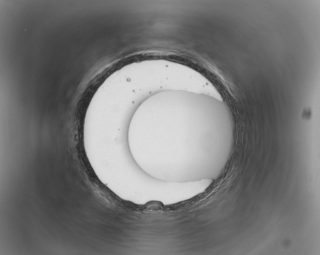 X0000116381448201001131758